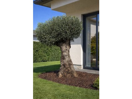 ChatGPT Image 11. 3. 2026, 14 39 17