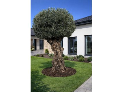 ChatGPT Image 11. 3. 2026, 15 12 07