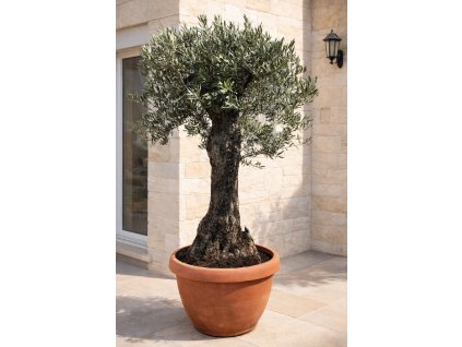 ChatGPT Image 13. 3. 2026, 10 23 03