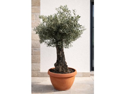 ChatGPT Image 13. 3. 2026, 10 26 29