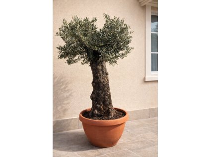 ChatGPT Image 13. 3. 2026, 10 27 26