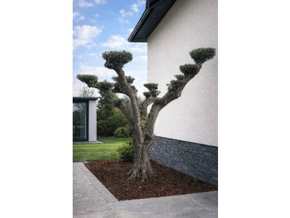 ChatGPT Image 13. 3. 2026, 10 49 24