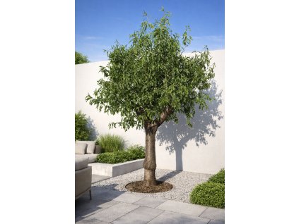 ChatGPT Image 18. 3. 2026, 19 01 17