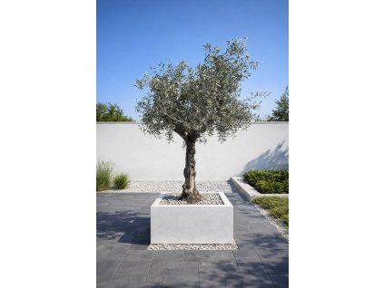 ChatGPT Image 20. 3. 2026, 17 47 36