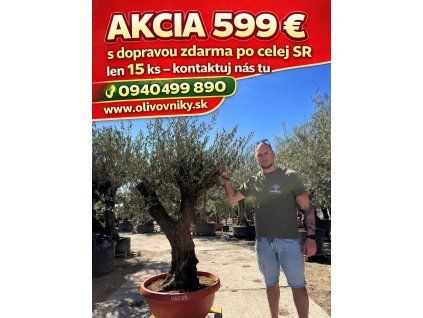 f72a0e19 537f 44e5 ae70 6d3cceaee67c 2