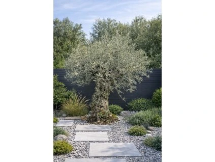 ChatGPT Image 22. 3. 2026, 08 41 14