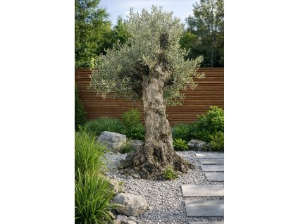 ChatGPT Image 22. 3. 2026, 08 45 46