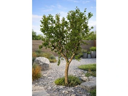 ChatGPT Image 25. 3. 2026, 13 28 07