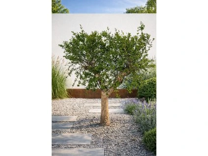 ChatGPT Image 25. 3. 2026, 13 32 25