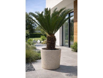 ChatGPT Image 31. 3. 2026, 19 47 07