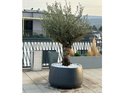 Snímka obrazovky 2025 12 12 o 13.46.07