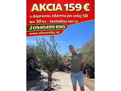 fd2ca8cb 5382 4251 984e 5f1a75750bfe 2