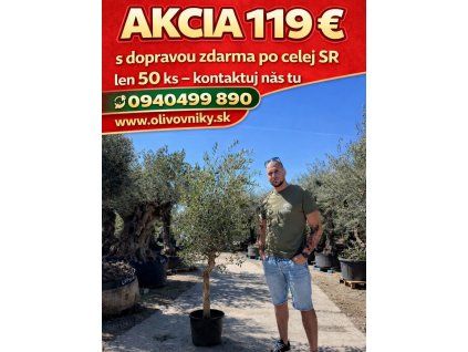 6fab6ae3 1a14 42cb adb1 e3cbbe542206 2