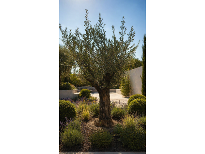 ChatGPT Image 23. 4. 2026, 11 42 07