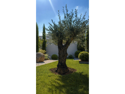 ChatGPT Image 23. 4. 2026, 11 49 45