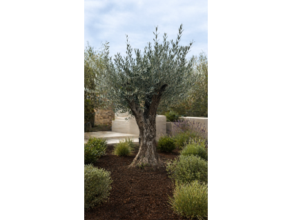 ChatGPT Image 23. 4. 2026, 12 41 35