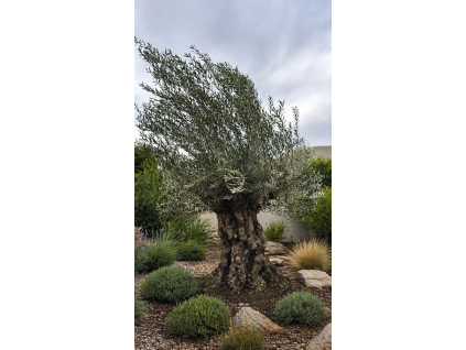 ChatGPT Image 23. 4. 2026, 12 48 58