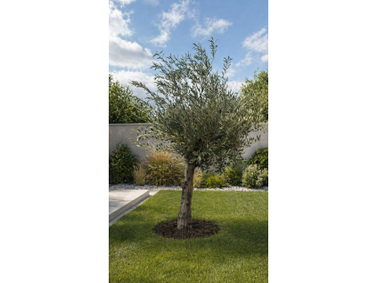 ChatGPT Image 23. 4. 2026, 13 25 29