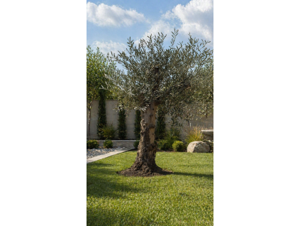 ChatGPT Image 23. 4. 2026, 14 05 33