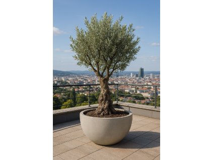 B4ACBAD5 D8C3 427F 8652 B5B0583FF50C