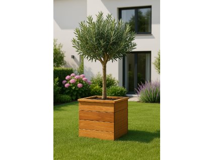 67D0F6B3 F3F2 4FA8 9246 920D3D949AC7