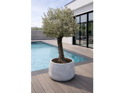 ChatGPT Image 18. 12. 2025, 11 17 02