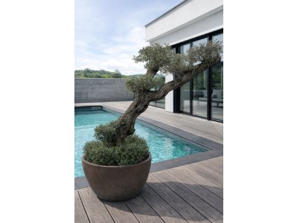 ChatGPT Image 18. 12. 2025, 11 12 34