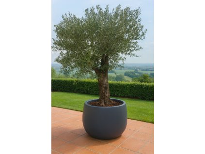 ChatGPT Image 12. 12. 2025, 10 02 44