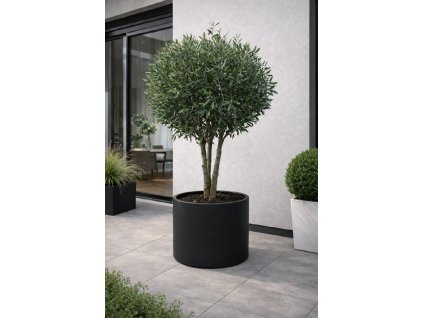 ChatGPT Image 18. 12. 2025, 09 45 59