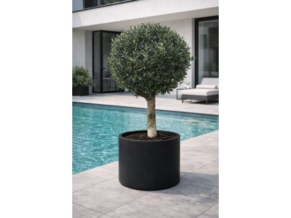 ChatGPT Image 12. 12. 2025, 12 21 26