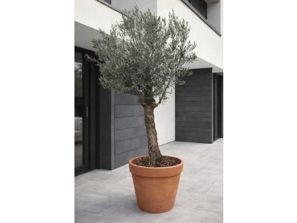 ChatGPT Image 18. 12. 2025, 11 22 53