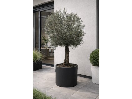 ChatGPT Image 16. 12. 2025, 12 05 54