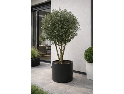 ChatGPT Image 18. 12. 2025, 09 32 06