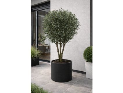 ChatGPT Image 18. 12. 2025, 09 40 32