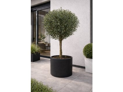 ChatGPT Image 18. 12. 2025, 09 42 34