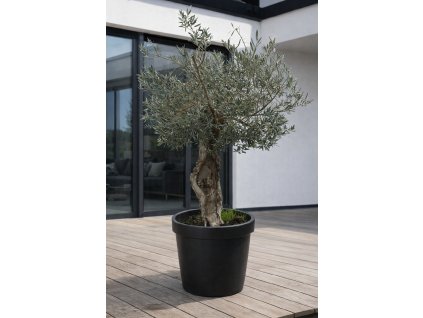 ChatGPT Image 18. 12. 2025, 10 19 18