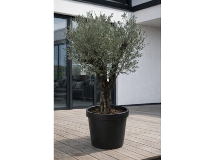 ChatGPT Image 18. 12. 2025, 10 22 47