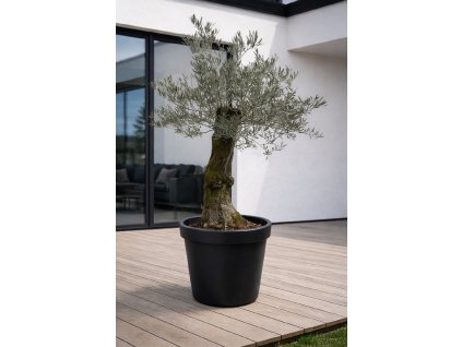 ChatGPT Image 18. 12. 2025, 10 26 08