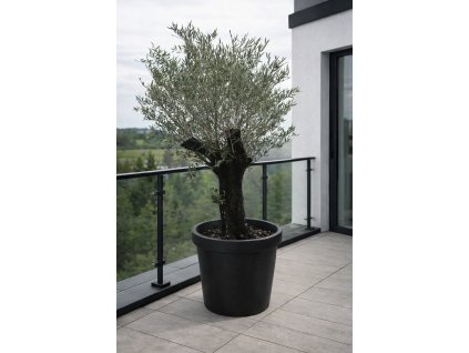 ChatGPT Image 18. 12. 2025, 10 29 23