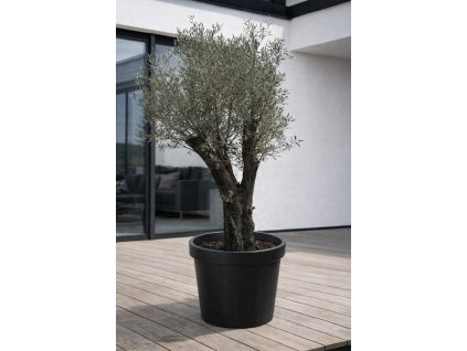 ChatGPT Image 18. 12. 2025, 10 32 47