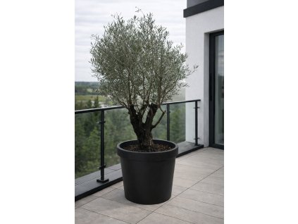 ChatGPT Image 18. 12. 2025, 10 40 28