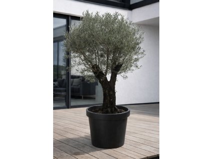 ChatGPT Image 18. 12. 2025, 10 43 50