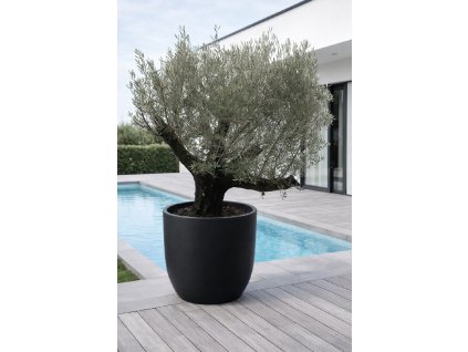 ChatGPT Image 18. 12. 2025, 10 59 15