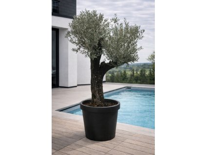 ChatGPT Image 18. 12. 2025, 10 55 26