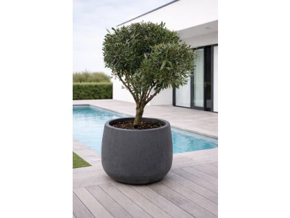 ChatGPT Image 18. 12. 2025, 11 02 20