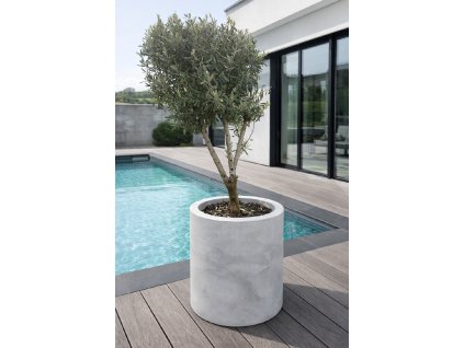 ChatGPT Image 18. 12. 2025, 11 06 35