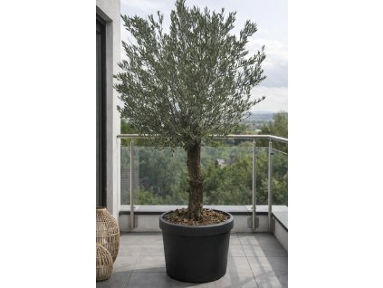 ChatGPT Image 27. 1. 2026, 10 50 50