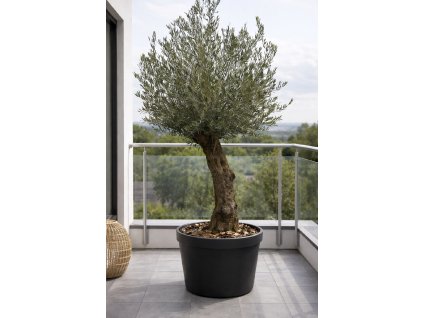 ChatGPT Image 27. 1. 2026, 11 22 57