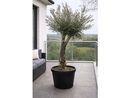 ChatGPT Image 27. 1. 2026, 11 54 43