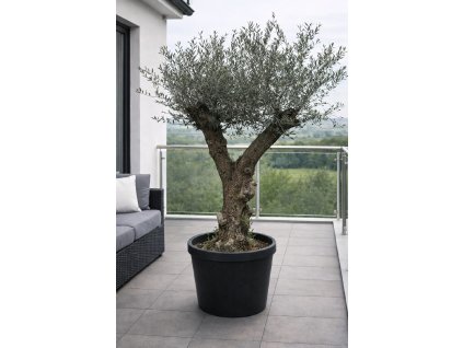 ChatGPT Image 27. 1. 2026, 12 04 03